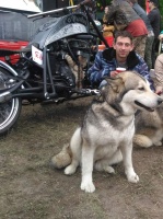 Ищу жену. – Фото 3