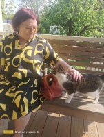 Есть, такое устаревшее слово - 