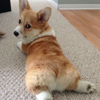 Доброго времени суток! – Фото 4