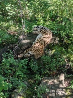 Привет женщины, девушки пишите буду рад. – Фото 1