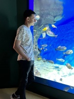 Твой обожатель! – Фото 1