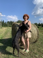 Ищу умного и интеллигентного человека – Фото 3