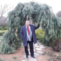 Где ты, временно дорогая? – Фото 4