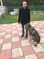 Ищу женщину или девушку  – Фото 1