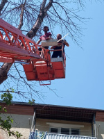 Знакомлюсь для общения  – Фото 2