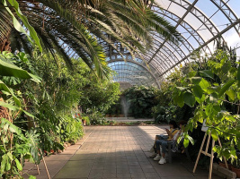 Ищу девушку для обожания.  – Фото 1