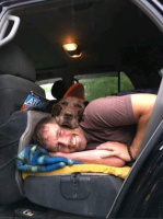 Парень/муж козел? Привинтим ему рога! Чувствуешь одиночество- тебе сюда!  – Фото 1