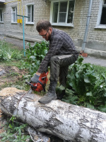 Ищу отношений.  – Фото 3