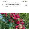 Галина, 59 лет, Знакомства для серьезных отношений и брака, Калуга