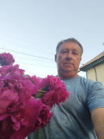 Серьезные отношения – Фото 1