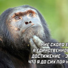 Кант, 35 лет, Знакомства для замужних и женатых , Нальчик