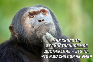 Погуляем сегодня ? – Фото 1