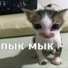kakdela, 35 лет, Знакомства для замужних и женатых , Уфа