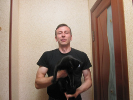 Познакомлюсь с культурной леди для женитьбы – Фото 1
