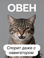 Одинокий кот Василий – Фото 1