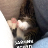 Андрей, 37 лет, Знакомства для дружбы и общения, Воронеж