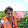 Каспер, 50 лет, Знакомства для серьезных отношений и брака, Тула