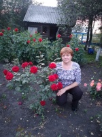 Женщина 51 год хочет найти мужчину 52-68 в Липецке – Фото 1