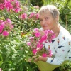Наталья, 59 лет, отношения и создание семьи, Новосибирск