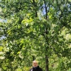 Ольга, 68 лет, Знакомства для серьезных отношений и брака, Москва