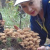 Ольга Багульник, 54 года, Знакомства для серьезных отношений и брака, Саяногорск